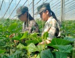 晋中市昔阳县早恋厌学孩子封闭式学校，本篇为您层层分享！