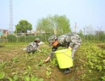 石家庄市井陉矿区正规的叛逆学校，本篇为您深度分享！