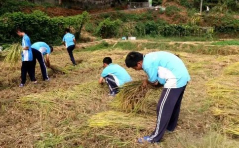 唐山市玉田县戒网瘾学校，本篇为您完整收录！