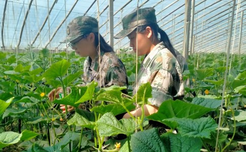 晋中市昔阳县早恋厌学孩子封闭式学校，本篇为您层层分享！