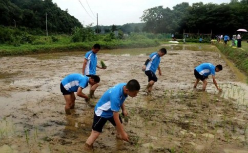 榆林市子洲县厌学特训学校，本篇为您专业总结！