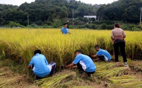 运城市芮城县戒网瘾特训学校,本文为您重点测评! 运城市芮城县戒网瘾特训学校,本文为您重点测评!