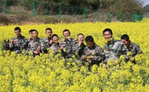 保定市定州市正规特训学校,本文为您简明盘点! 保定市定州市正规特训学校,本文为您简明盘点!